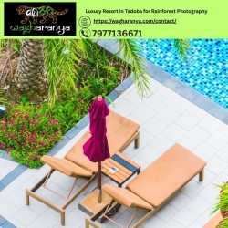 Resorts in Tadoba Near Moharli Gate Offering Pool Access