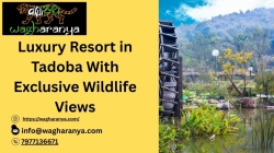Luxury Resort in Tadoba With Exclusive Wildlife Views