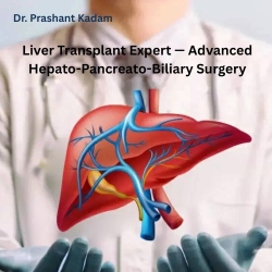 Liver Transplant Expert — Advanced Hepato-Pancreato-Biliary Surgery