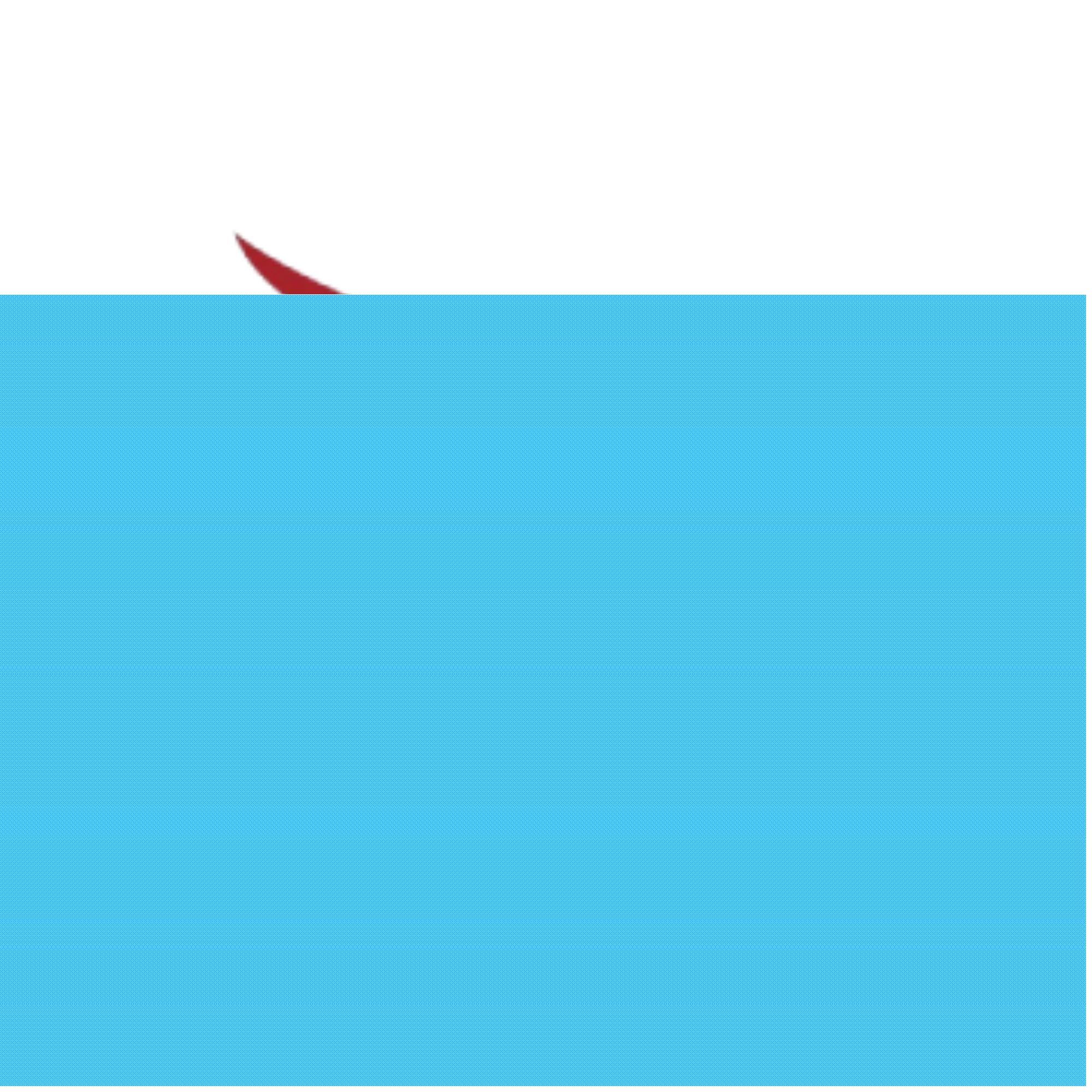 Navifin Capital Management Consultancy