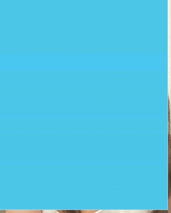 Cristellecruz nineteen