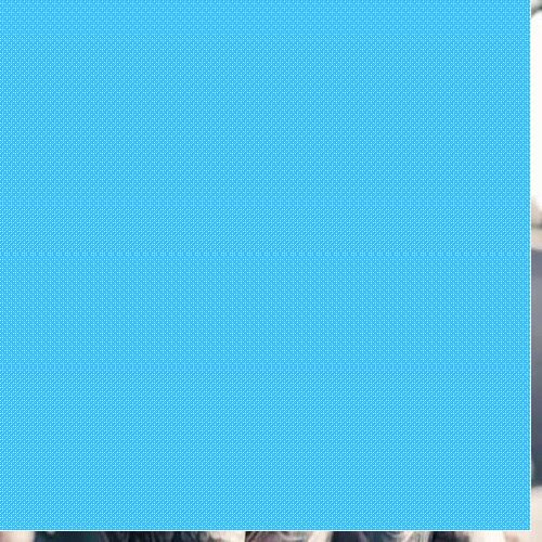 CEO Đặng Minh Tuấn