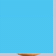 08800895994