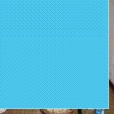 09117936648