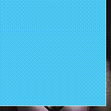13322568353
