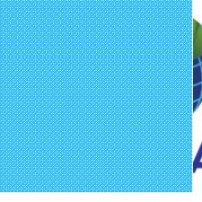 flyworldmigrationaus